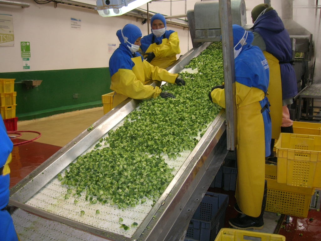 蔬菜分揀輸送機(jī)上料裝置原理及參數(shù)的選取